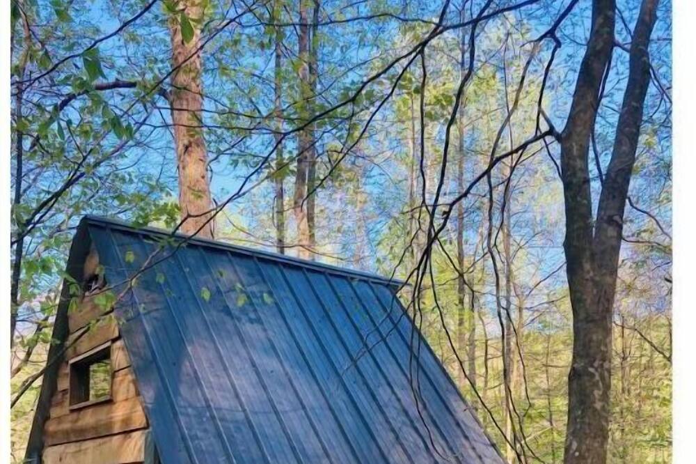 Photo of Outdoor in Means