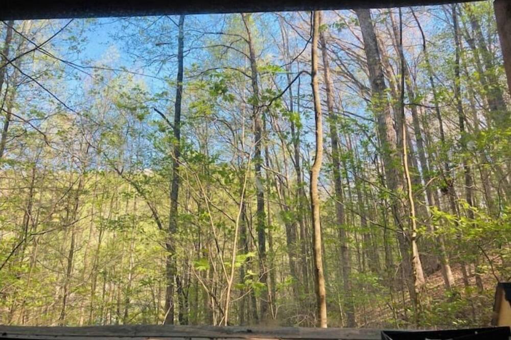 Photo of Outdoor in Means
