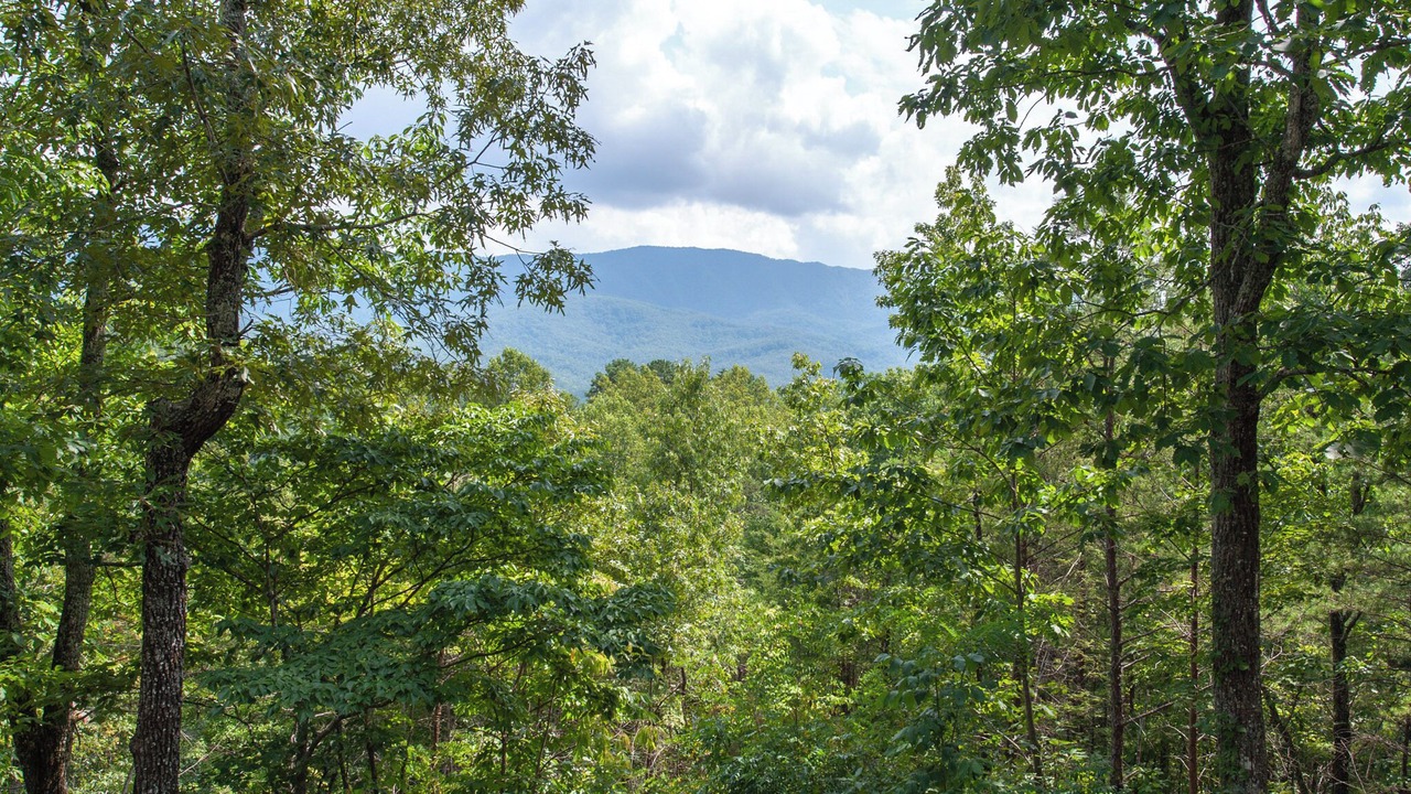 Photo of Others in Gatlinburg - Pigeon Forge