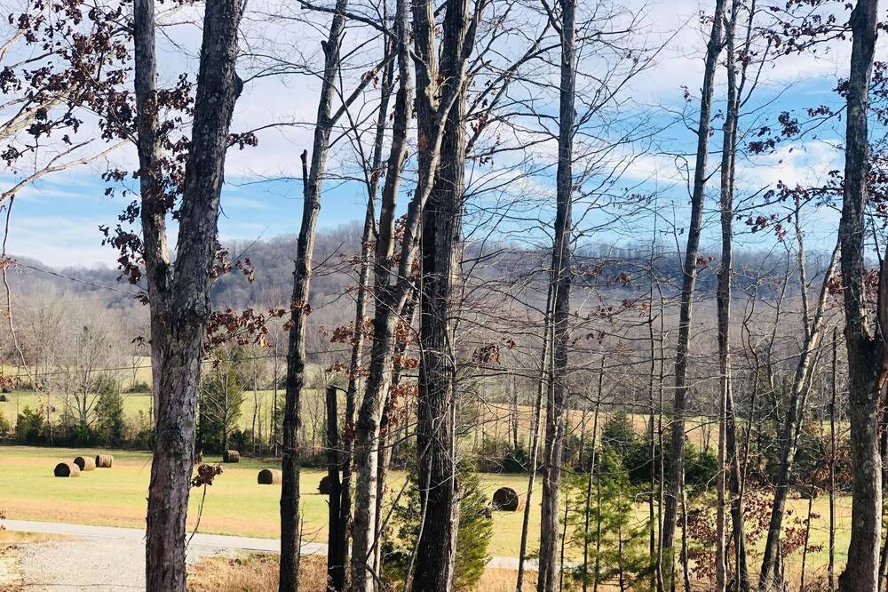 Photo of Outdoor in Mannsville