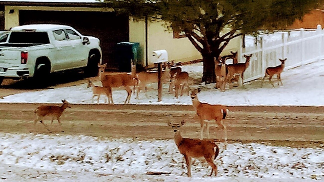 Photo of Outdoor in Rockaway Beach