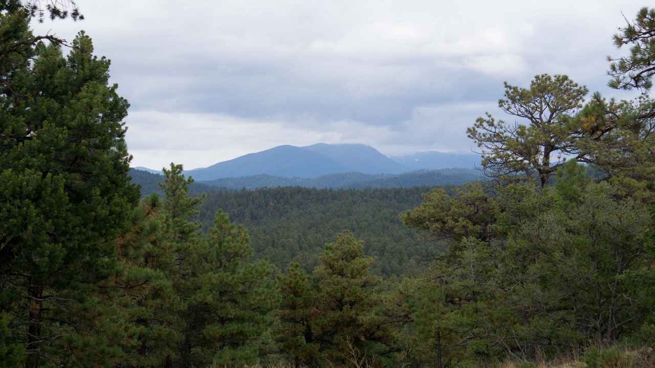 Photo of Outdoor in Canada de los Alamos