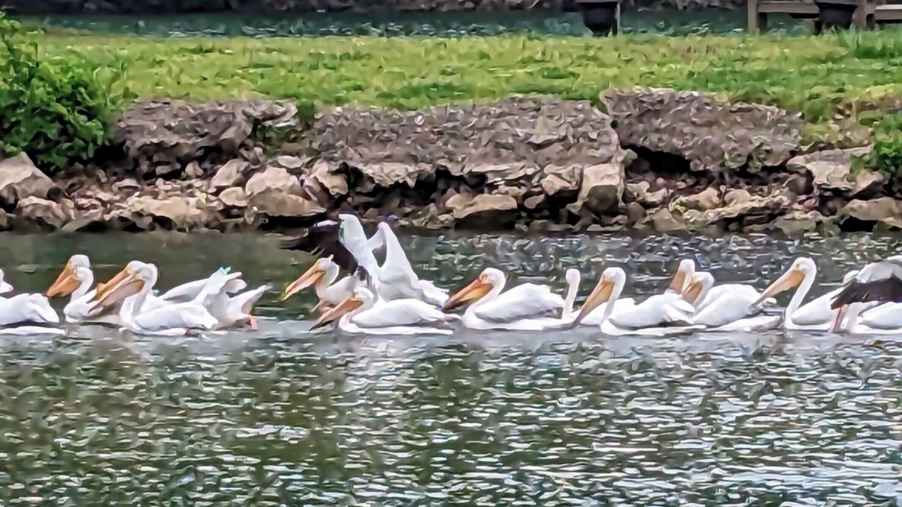Photo of Others in Rockaway Beach