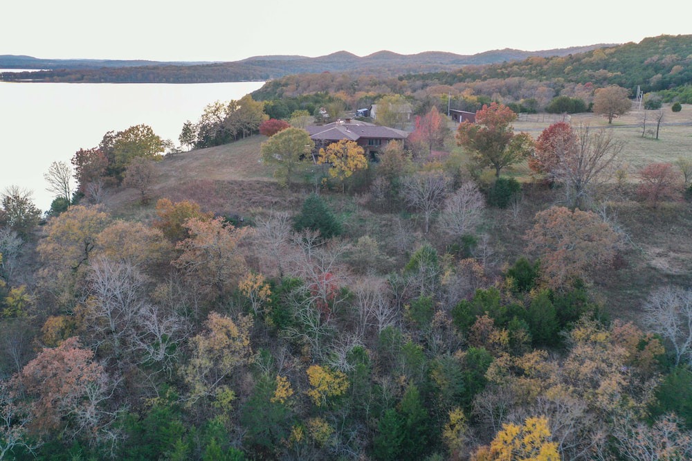 Photo of Others in Shell Knob