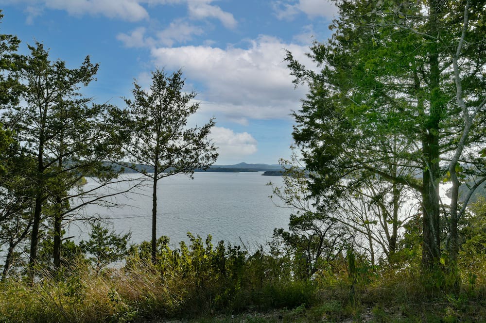 Photo of Others in Shell Knob