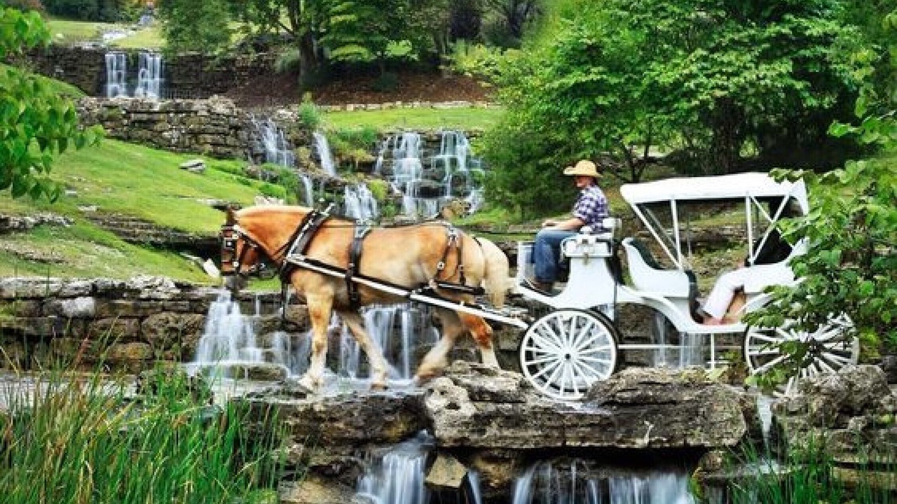Photo of Outdoor in Big Cedars