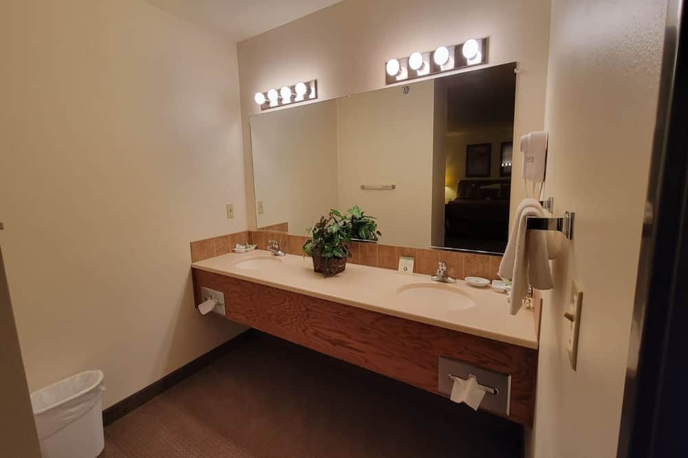 Photo of Bathroom in Ulysses