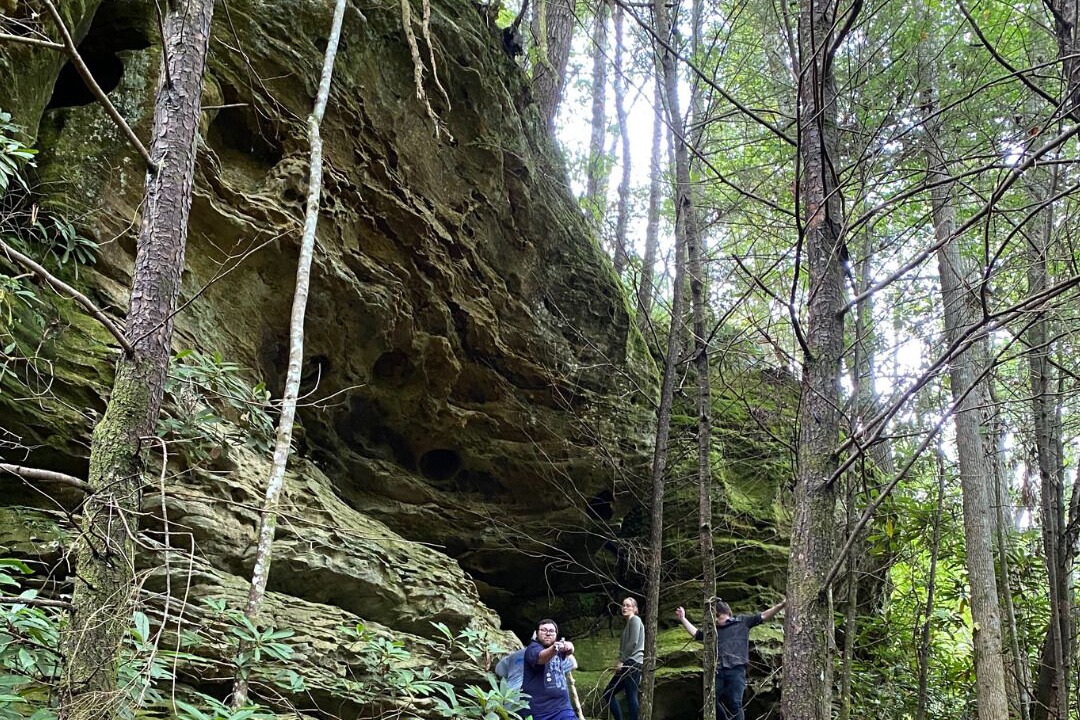 Photo of Outdoor in Oneida