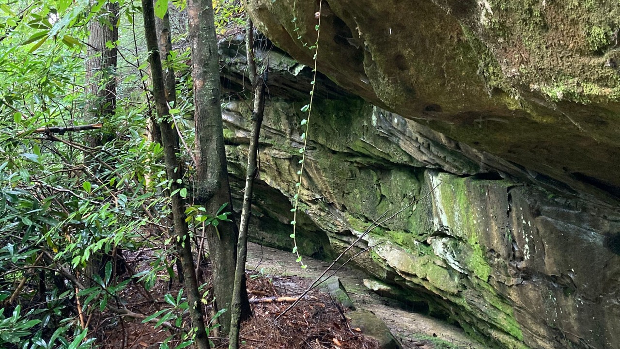 Photo of Outdoor in Oneida