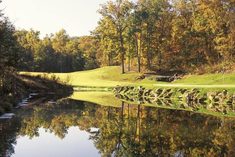 Photo of Outdoor in Branson West