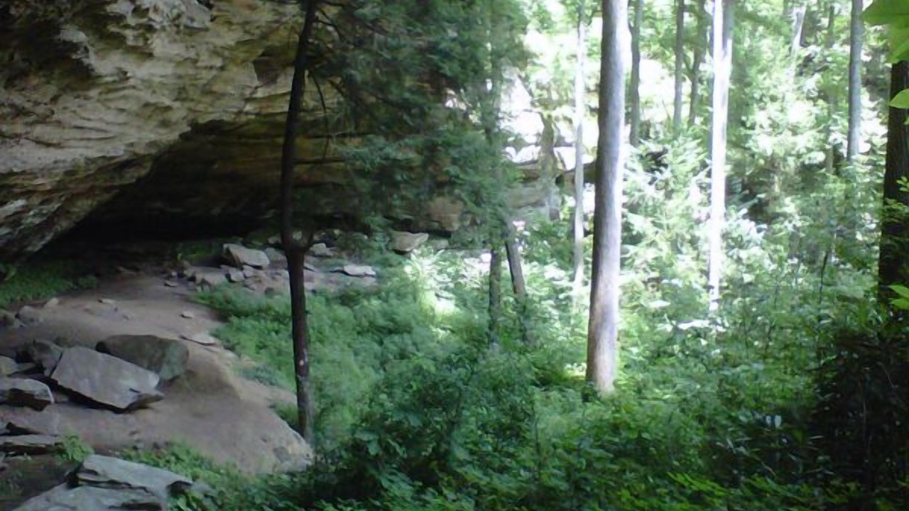 Photo of Outdoor in Slade