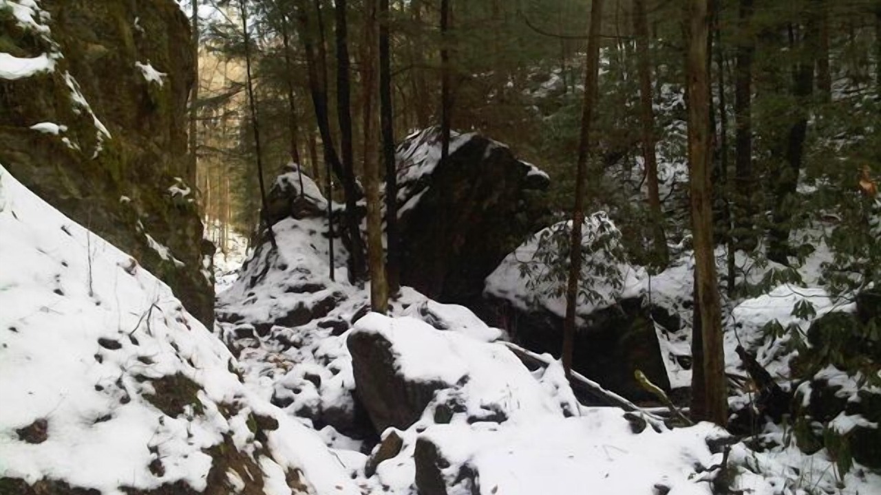 Photo of Outdoor in Slade