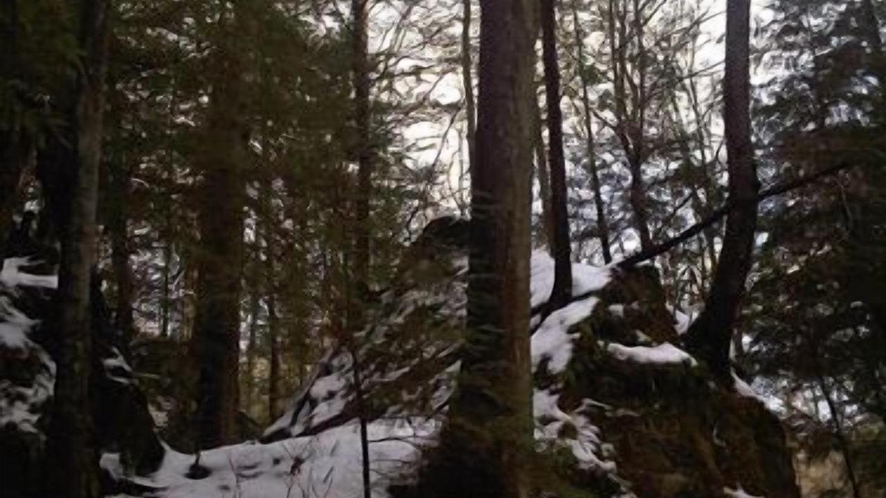 Photo of Outdoor in Slade