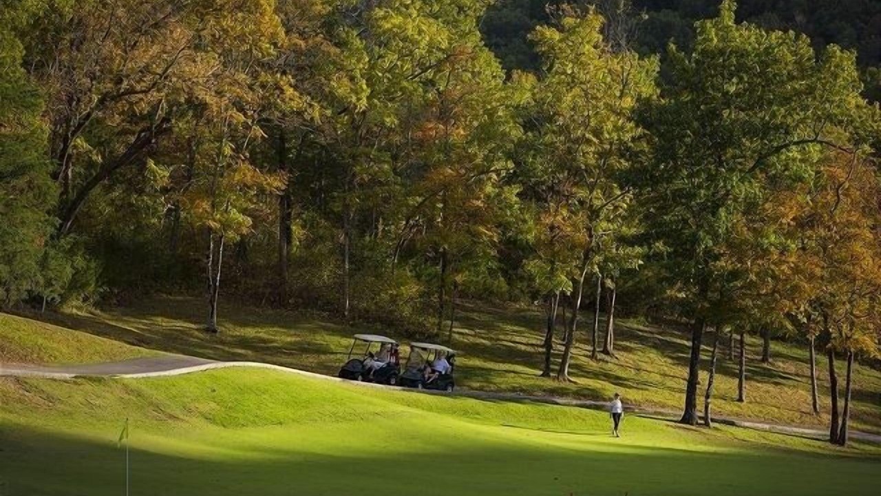 Photo of Others in Branson West