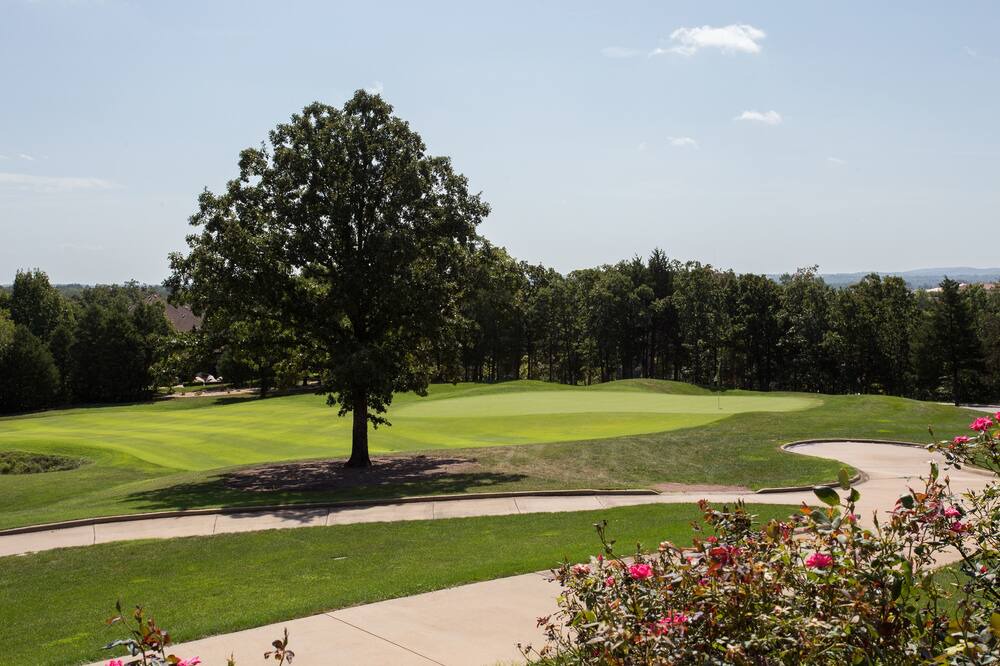 Photo of Outdoor in Branson
