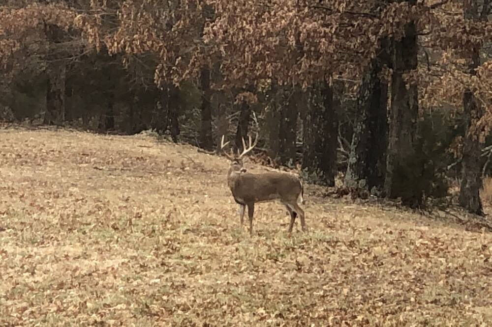 Photo of Outdoor in Branson