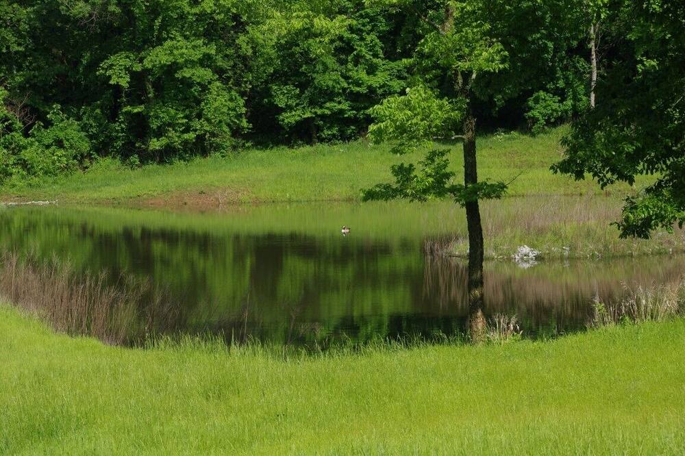 Photo of Outdoor in Makanda