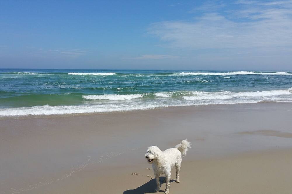 Photo of Outdoor in Manteo
