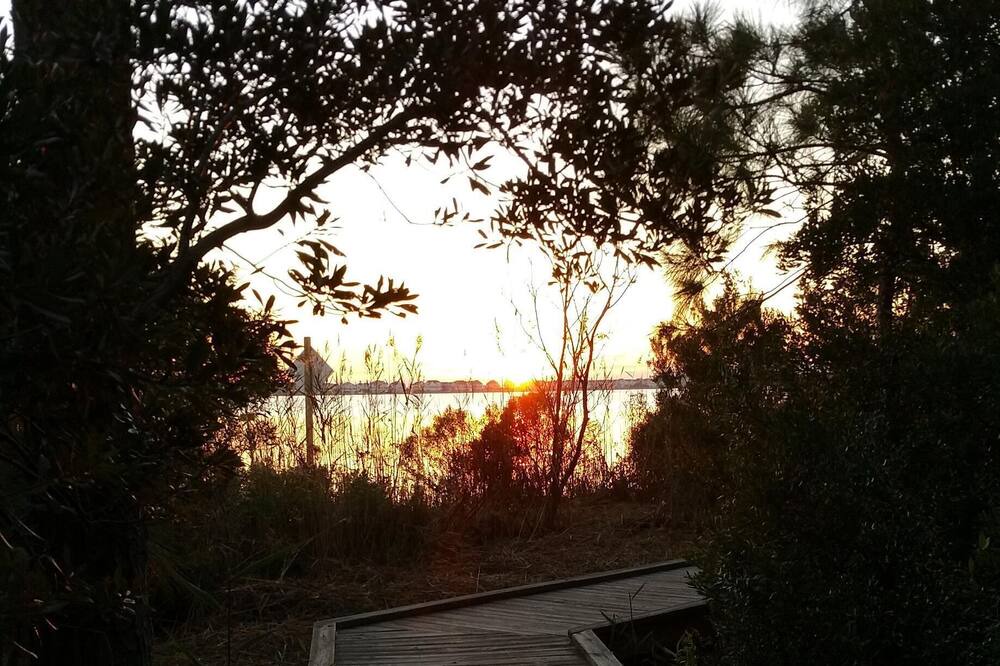 Photo of Others in Manteo