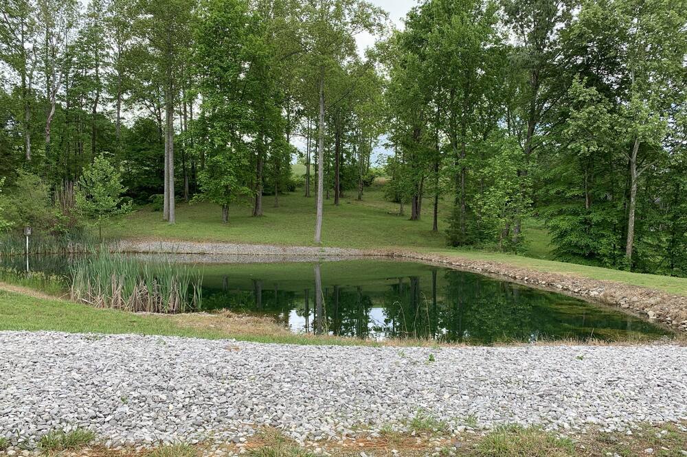 Photo of Others in Burkesville