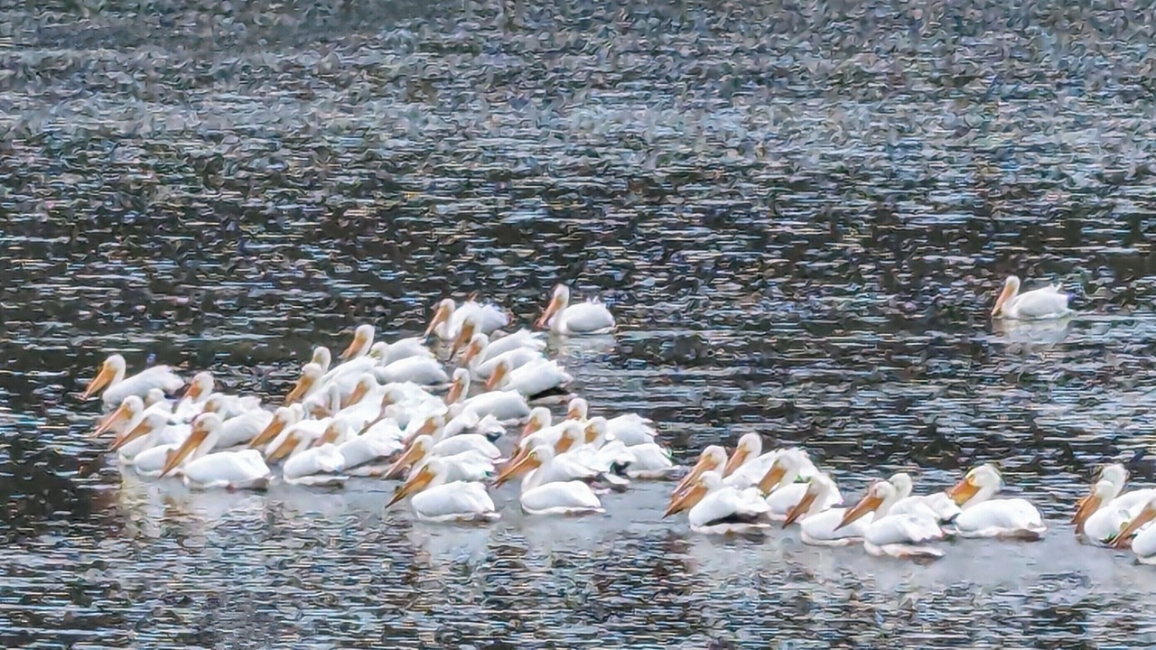 Photo of Others in Rockaway Beach
