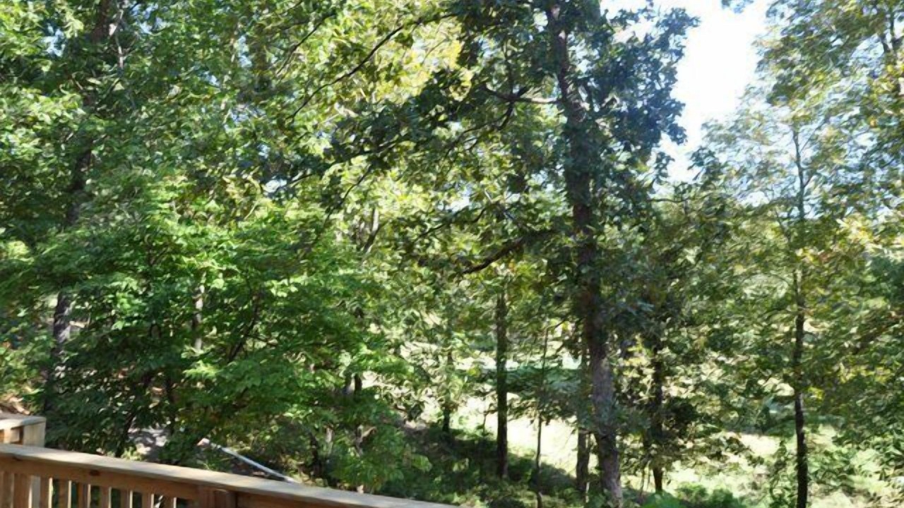 Photo of Outdoor in Branson Cedars