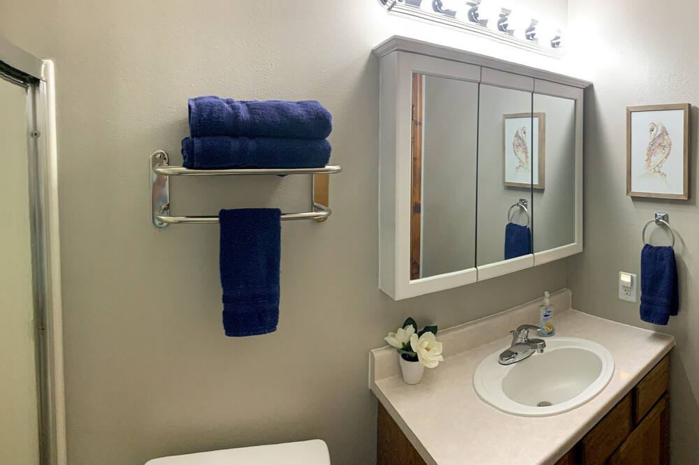 Photo of Bathroom in Branson