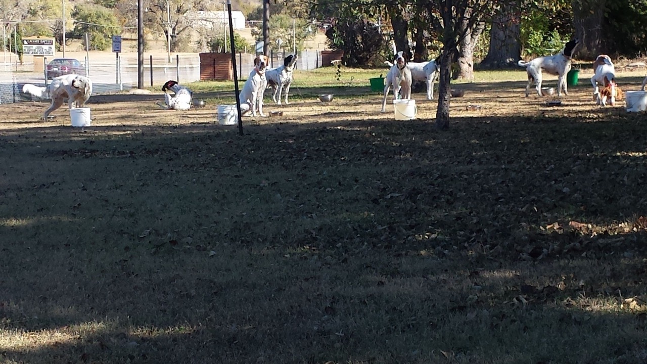 Photo of Outdoor in Pratt
