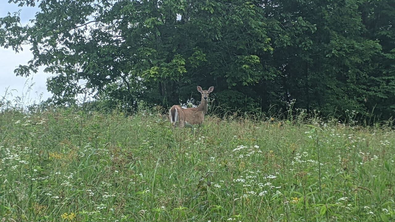 Photo of Outdoor in Whitley City