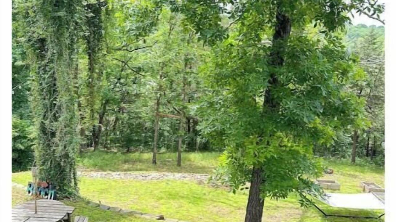 Photo of Outdoor in Shell Knob