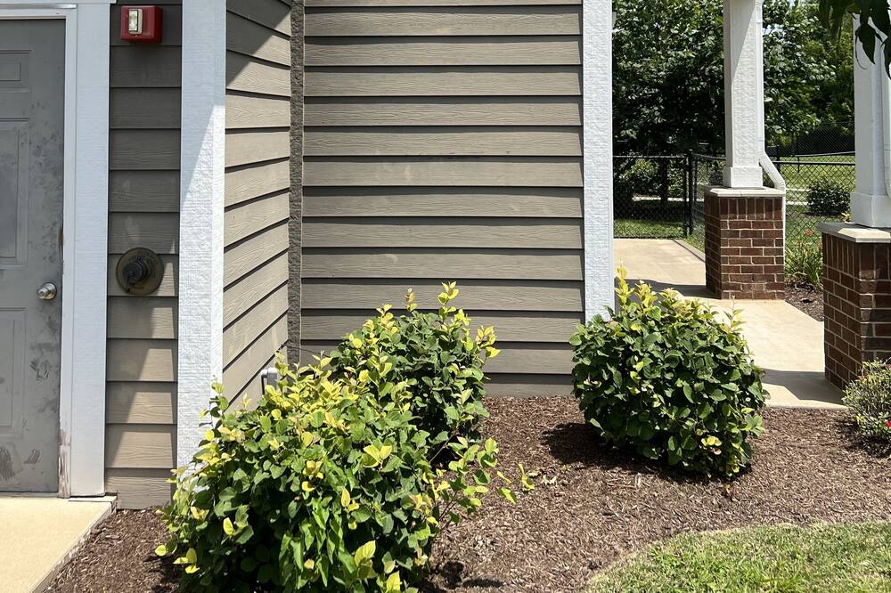 Photo of Outdoor in Buechel