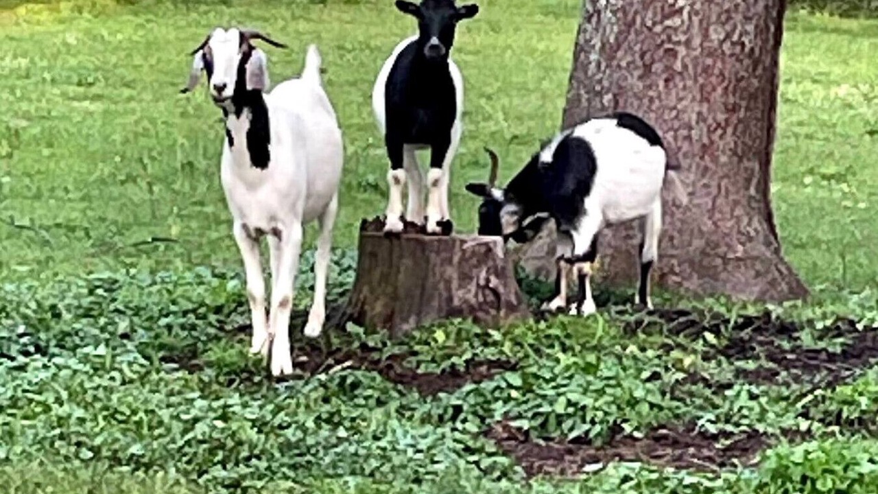 Photo of Others in Lawrenceburg