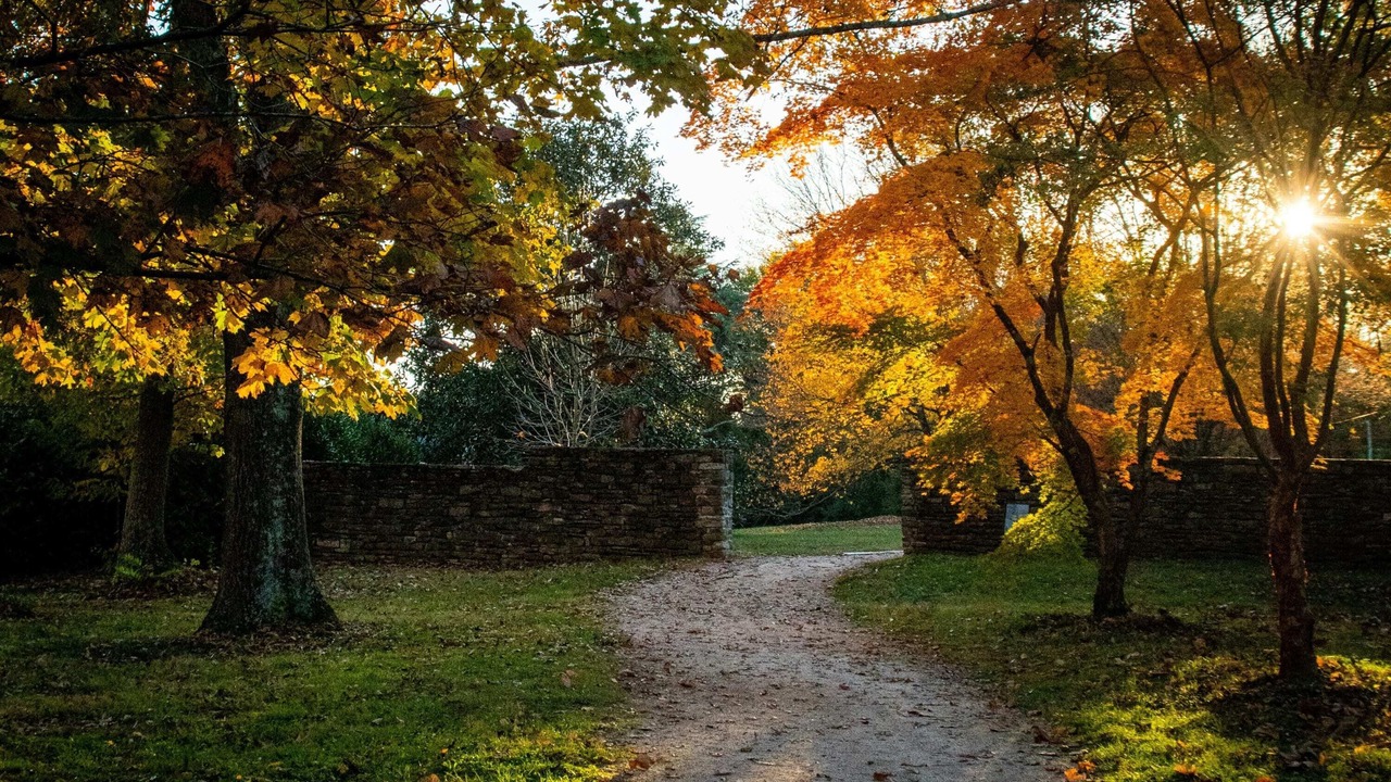 Photo of Outdoor in Briceville