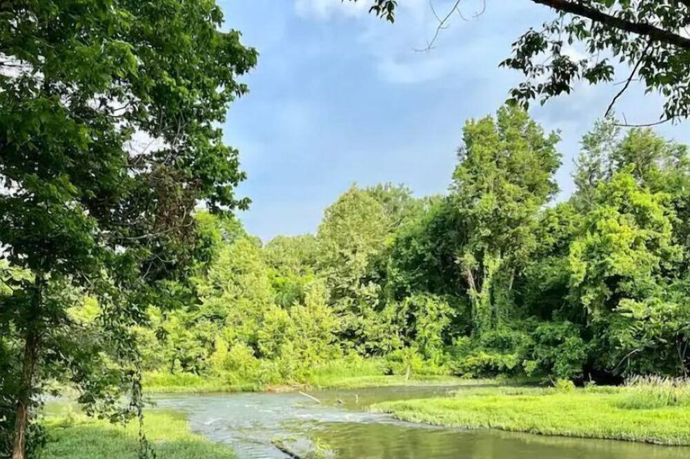 Photo of Outdoor in Hardy