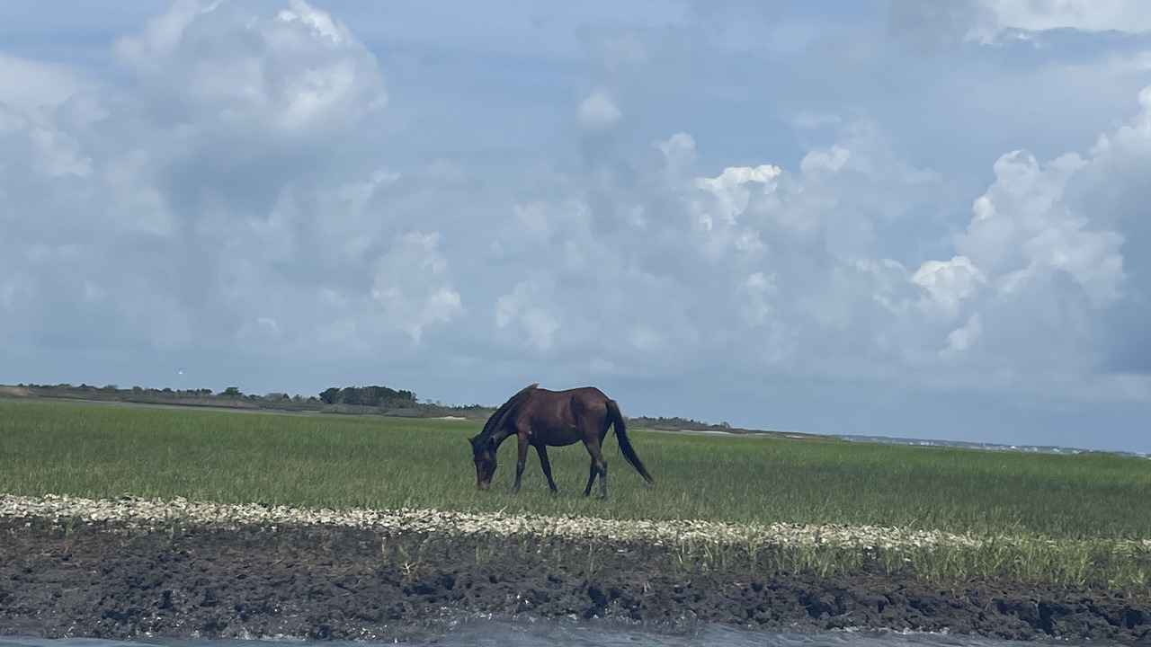 Photo of Outdoor in Marshallberg