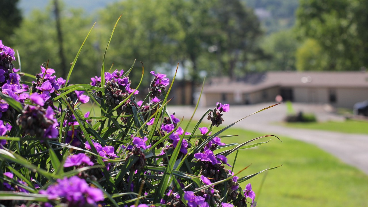 Photo of Outdoor in Lampe