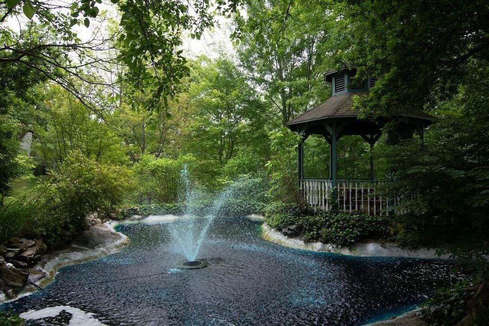 Photo of Outdoor in Table Rock