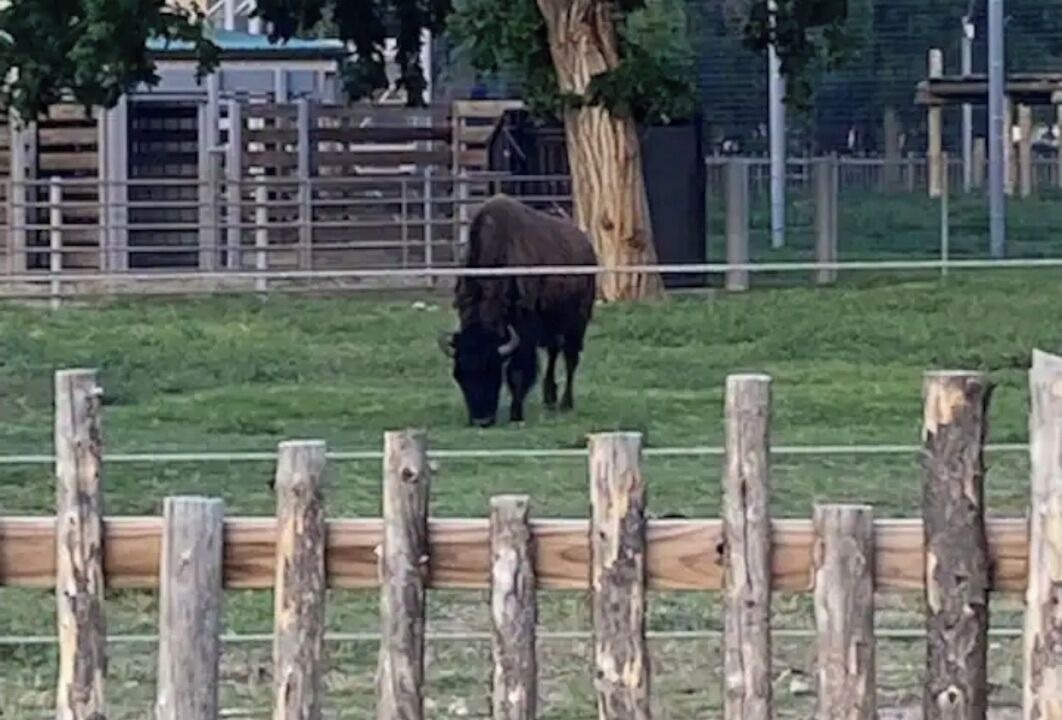 Photo of Others in Great Bend