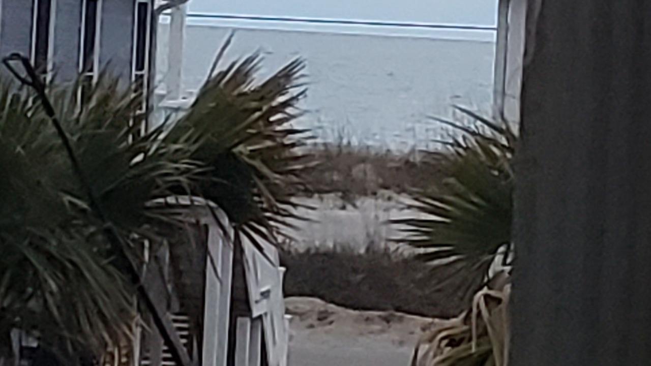 Photo of Others in Surf City