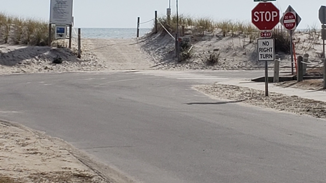 Photo of Others in Surf City