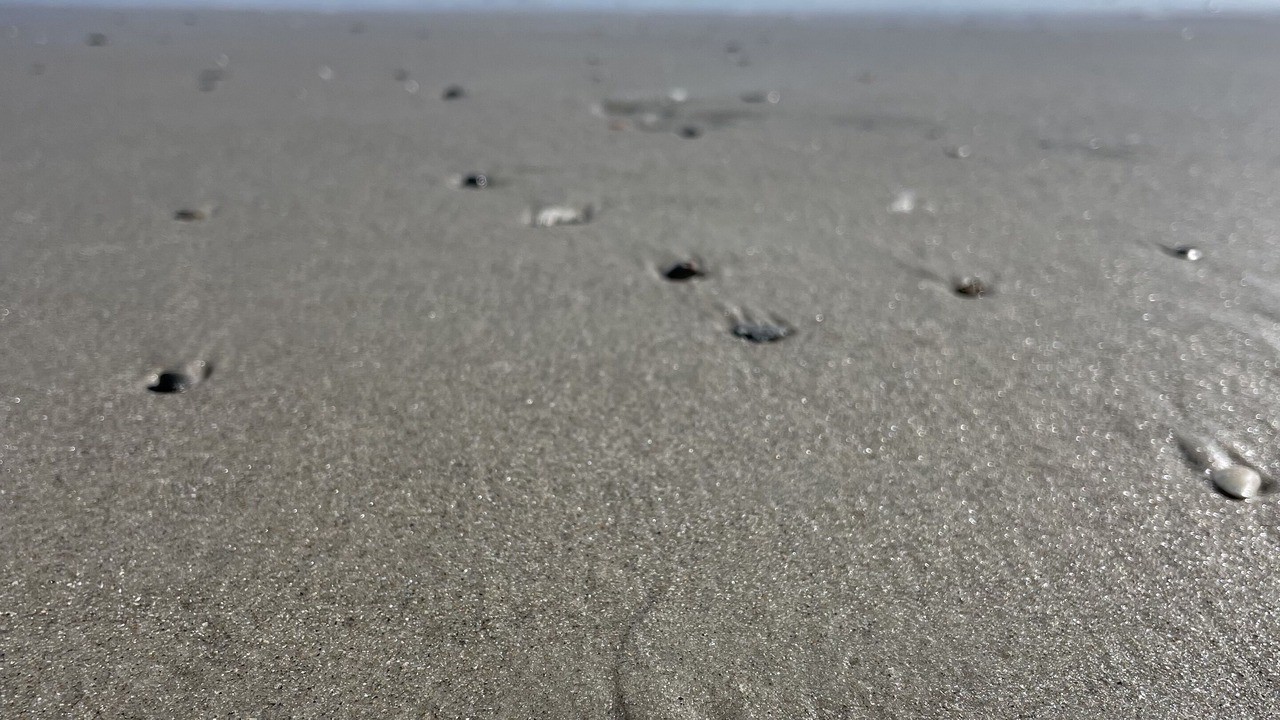 Photo of Others in Ocracoke