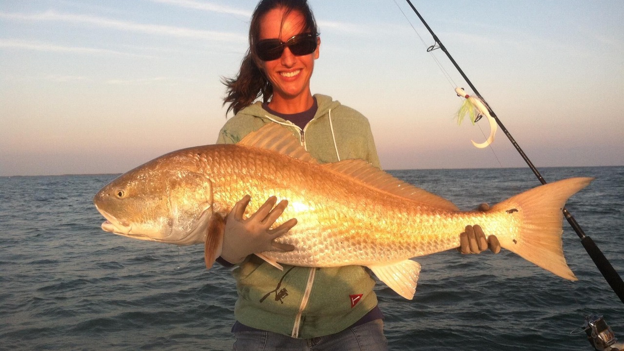 Photo of Others in Ocracoke