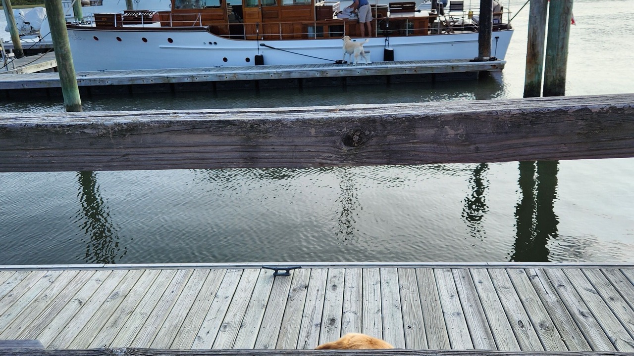Photo of Others in Morehead City