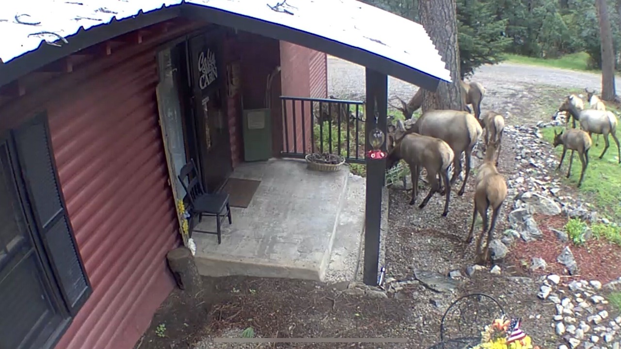 Photo of Others in Cloudcroft