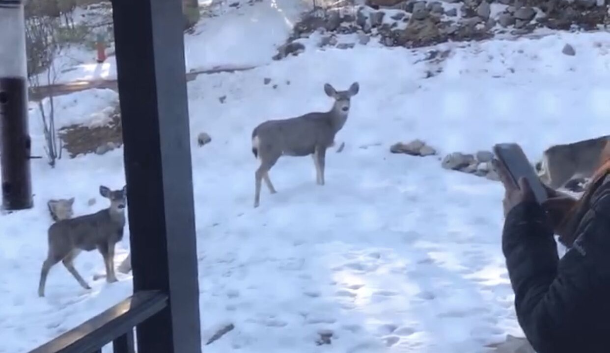 Photo of Others in Cloudcroft