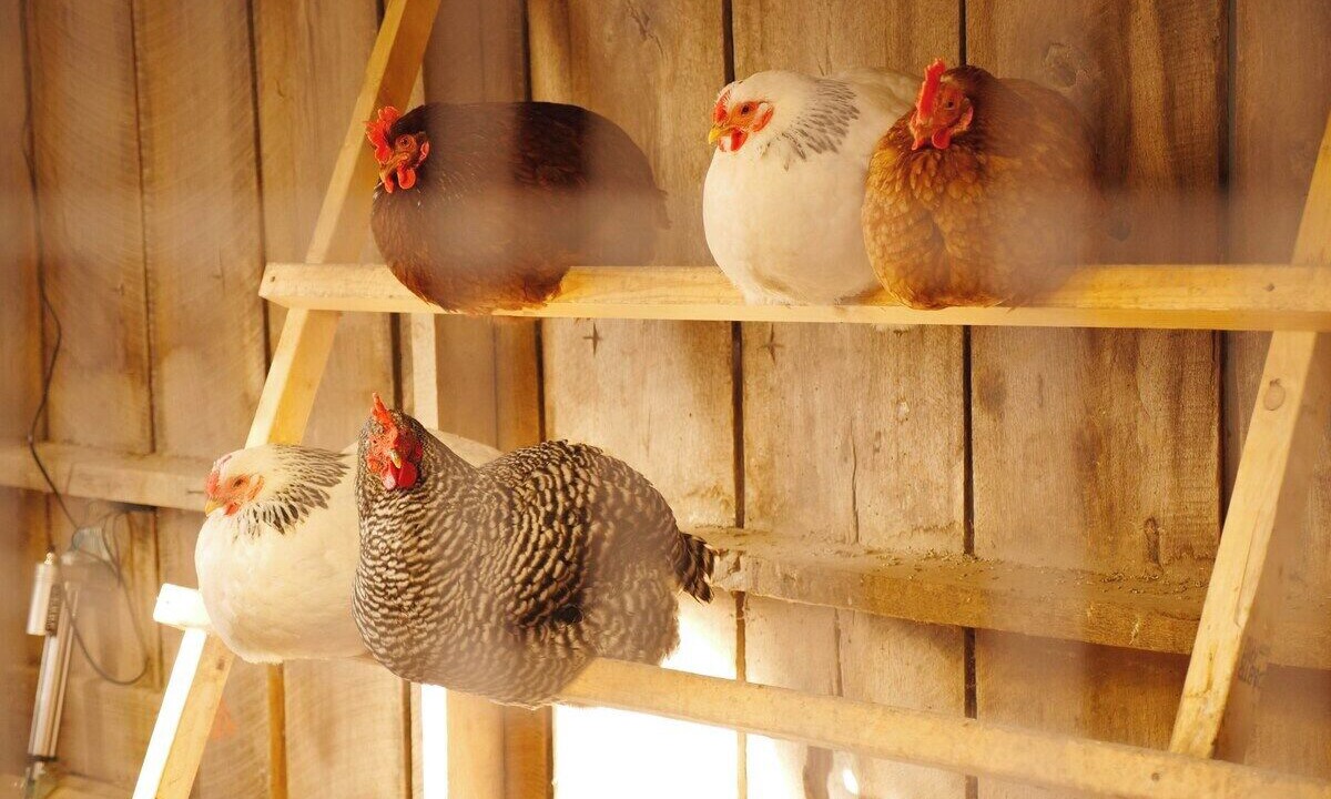 Photo of Others in Lawrence County
