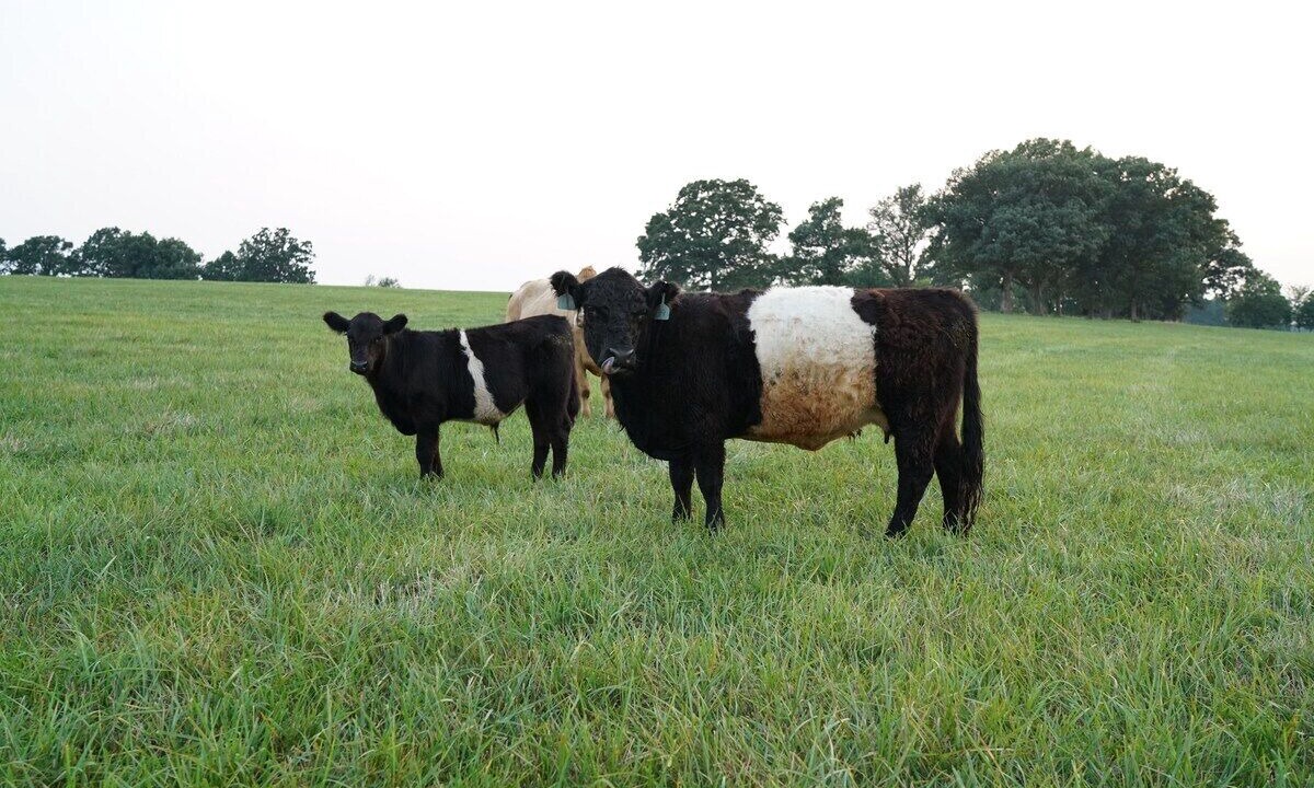 Photo of Others in Lawrence County