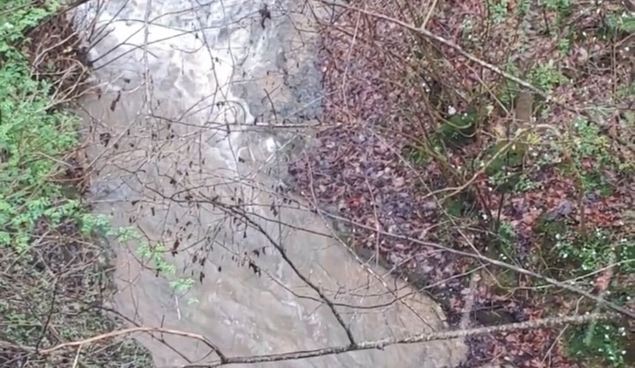 Photo of Outdoor in Baxter