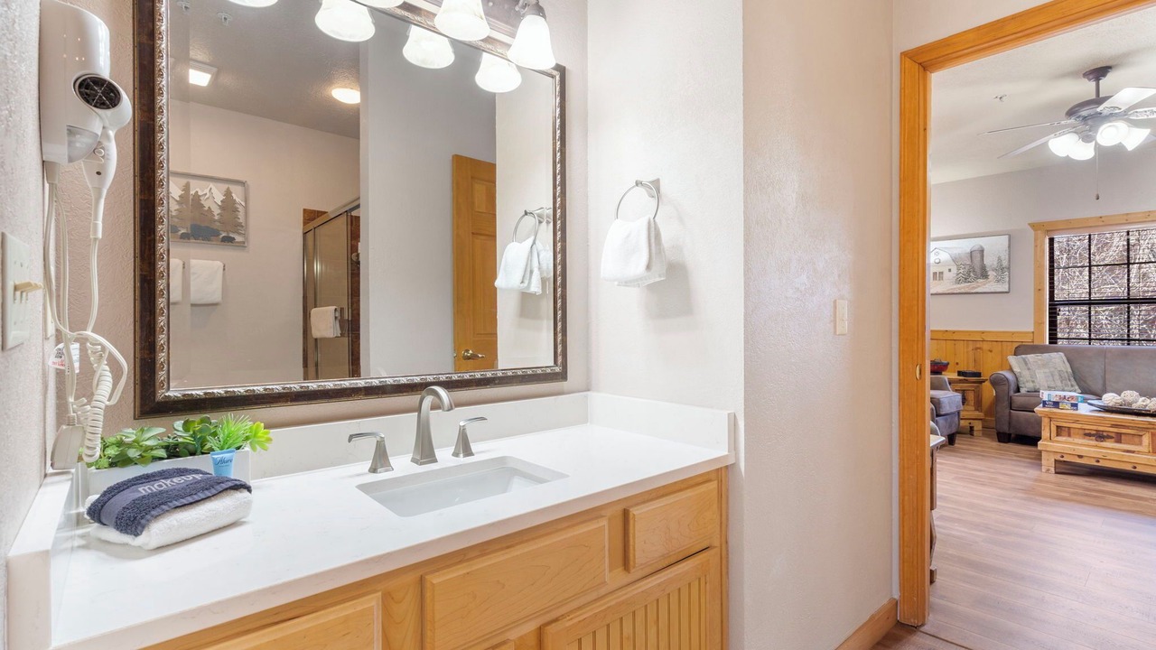 Photo of Bathroom in Branson Theater District