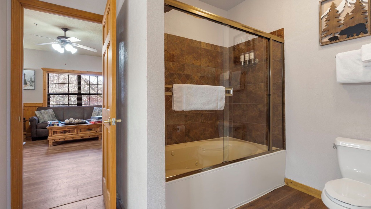 Photo of Bathroom in Branson Theater District